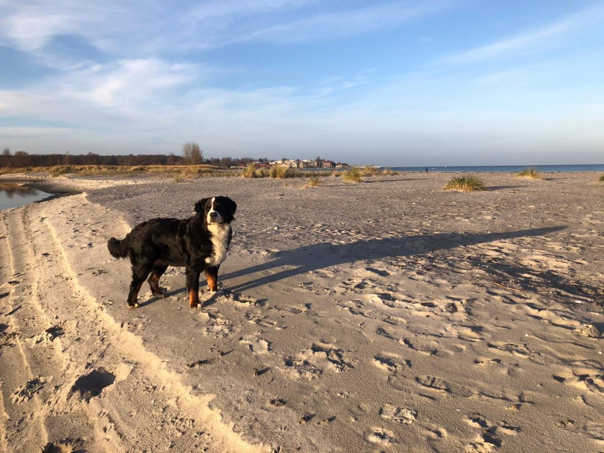Ferienwohnung „Die Koje“ Hohwacht/Ostsee Esterno foto